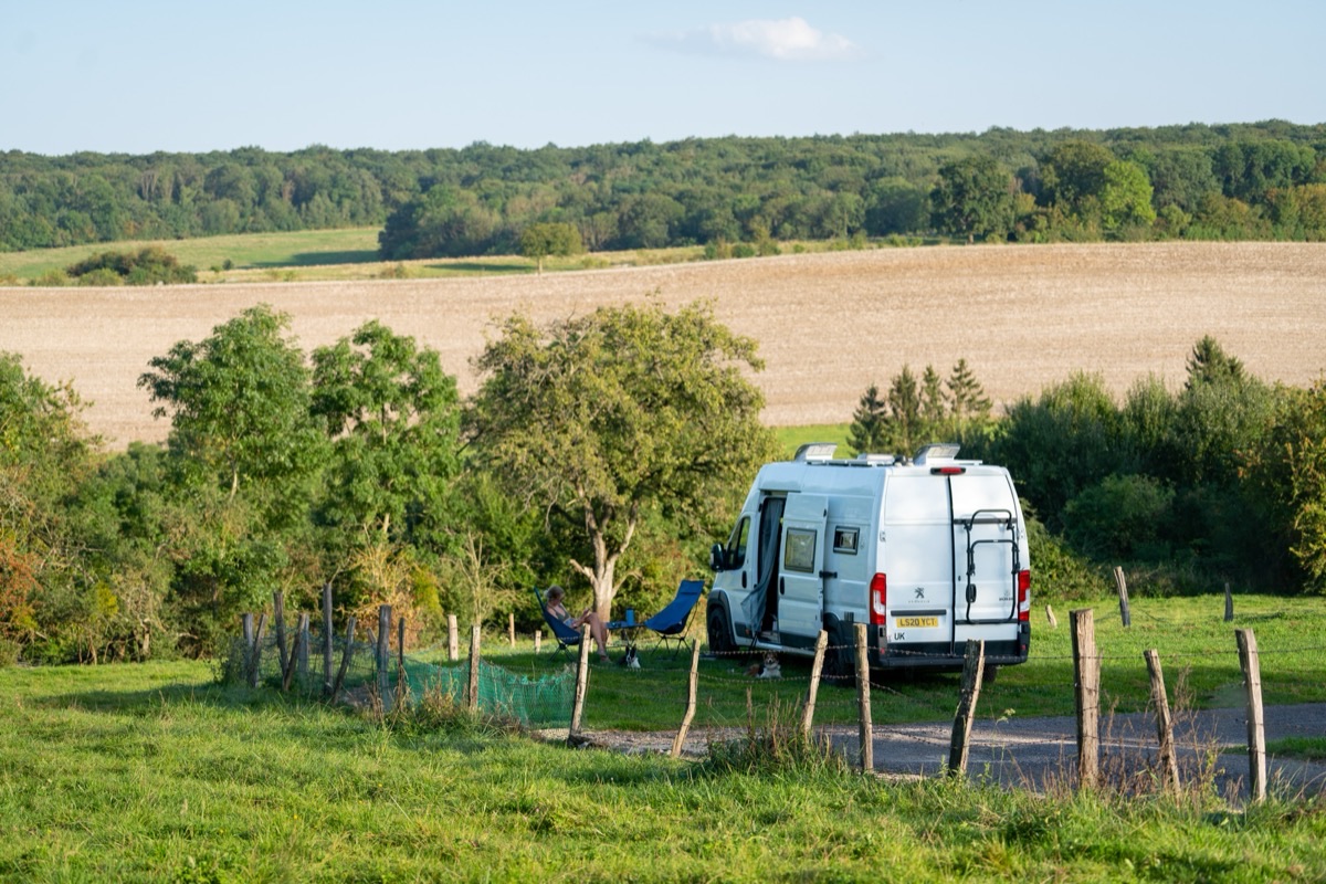 Woman with dog relaxing beside a campervan under palm trees