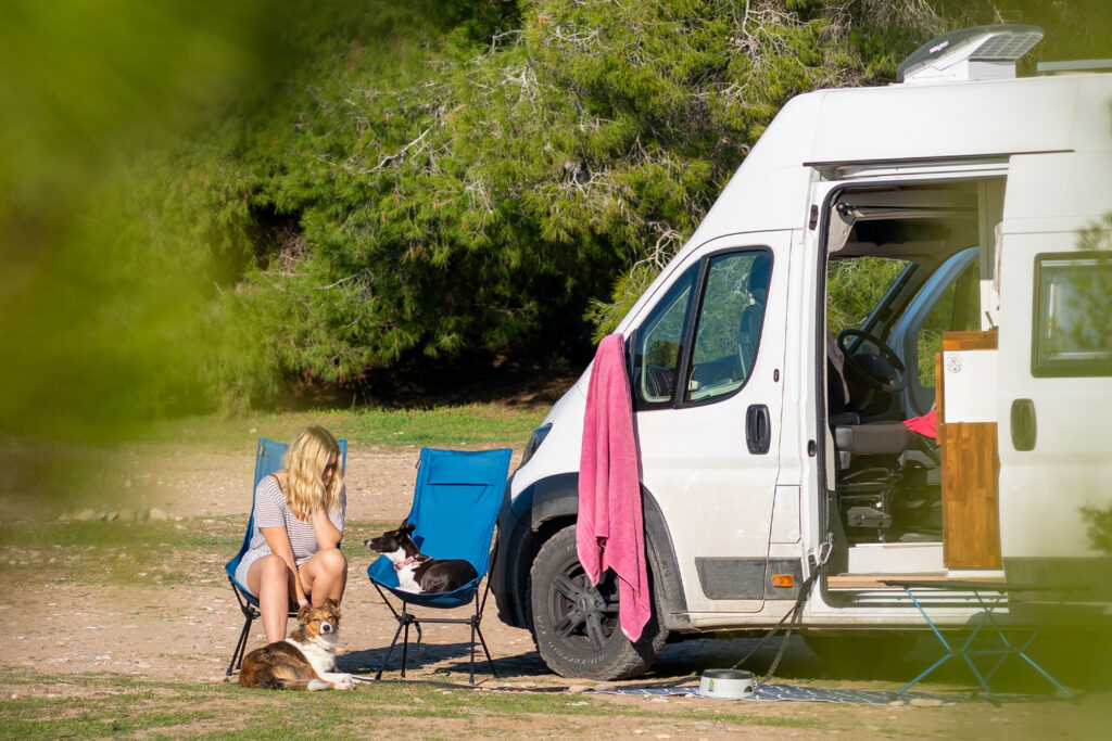 Keeping dogs cool in a van