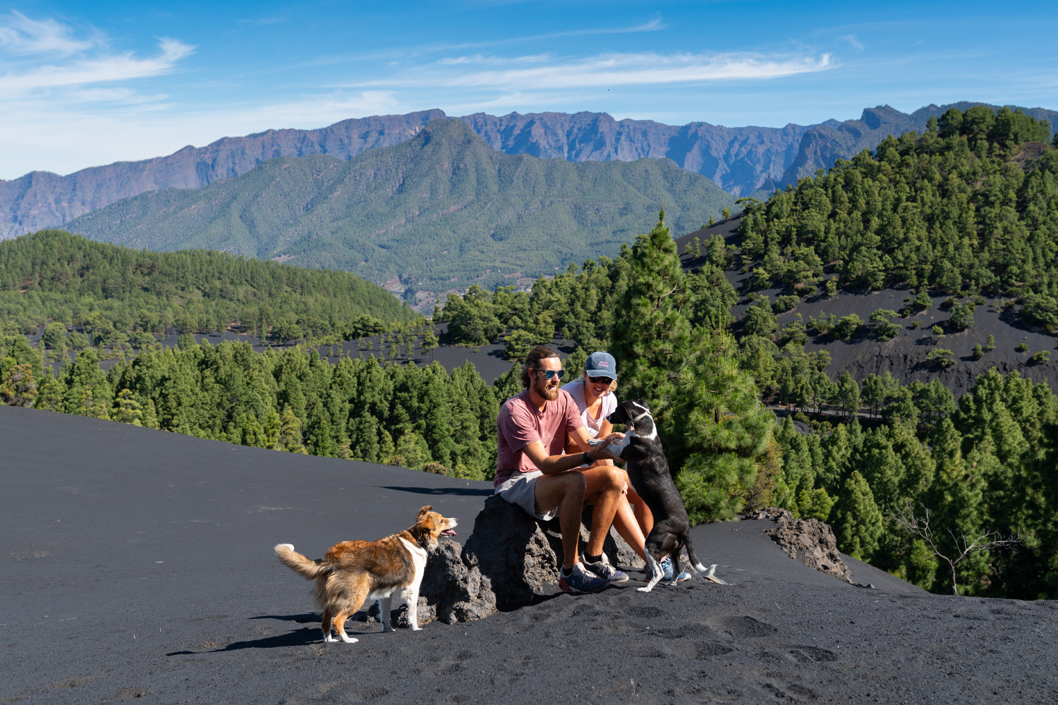 Vanlife on La Palma